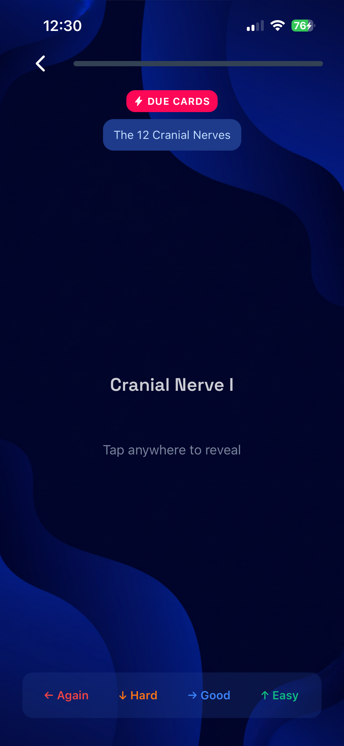 1. Initial Assessment